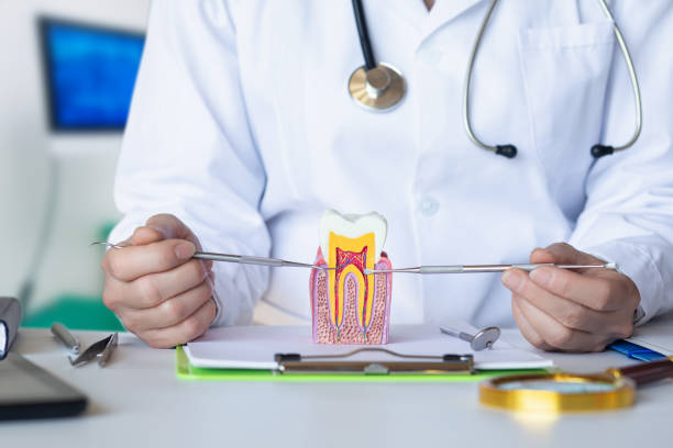 Best Emergency Orthodontic Repairs in Big Lake, WA